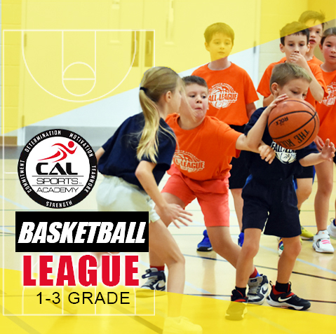 Basketball League 1-3 Grade