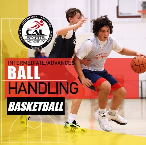 Ball Handling in Basketball