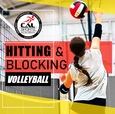 Volleyball - Hitting & Blocking