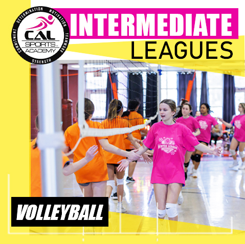 Intermediate Volleyball Leagues